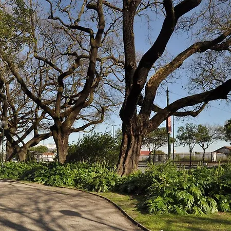 Apartamento Hello Santos